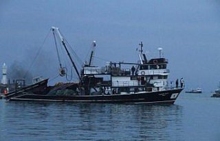 Düzce'de fırtına tekneleri alobora etti