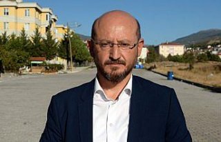 Niksar cevizinde yüksek rekolte beklentisi