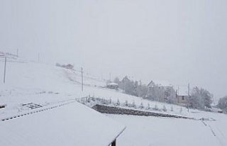 Ordu'da kar yağışı