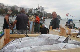 Palamut yüzleri güldürdü