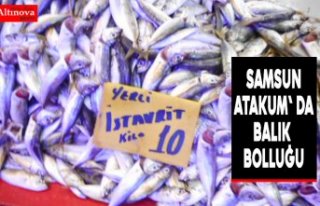 SAMSUN ATAKUM' DA BALIK BOLLUĞU