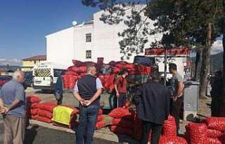 Tır dolusu soğanı kilogramı 1 liradan sattı