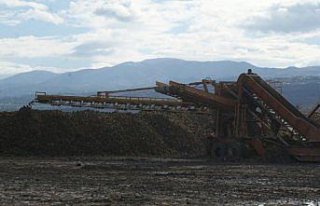 Vezirköprü'den Amasya Şeker Fabrikası'na pancar...