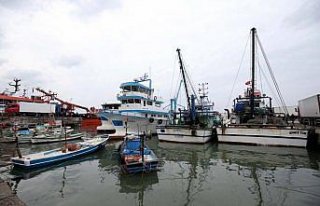 Akçakoca'da hamsi bolluğu