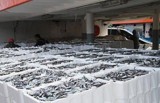 Balıkçıların yüzü fırtınanın ardından tekrar...