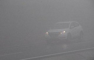 Batı Karadeniz'de sis