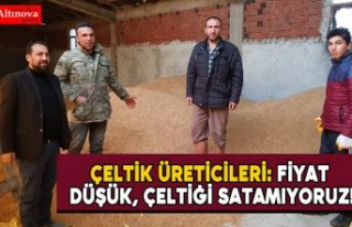 Çeltik üreticileri: Fiyat düşük, çeltiği satamıyoruz!