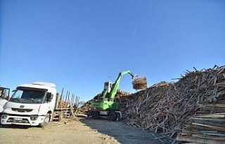 Fındık kabuğu ve mısır sapından elektrik üretiyorlar