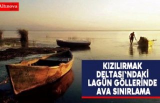 Kızılırmak Deltası'ndaki lagün göllerinde...