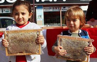 Taşova’da 1. Bal Fuarı