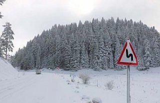 Abant'ta kar yağışı