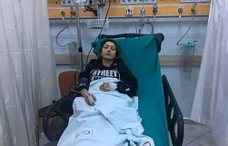 Açlık grevi yapan hayvansever hastaneye kaldırıldı