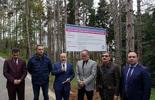 Atatürk Köşkü Ormanı'nda 1 milyondan fazla zararlı...