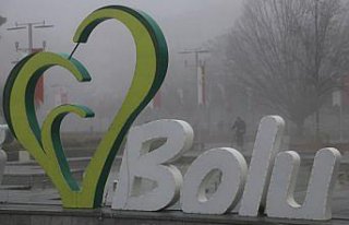 Bolu'da sis