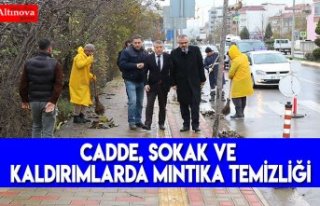 CADDE, SOKAK VE KALDIRIMLARDA MINTIKA TEMİZLİĞİ
