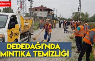 DEDEDAĞI'NDA MINTIKA TEMİZLİĞİ
