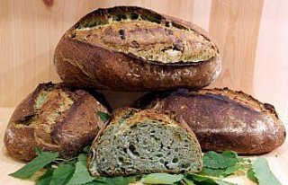 Isırganı ekmekle buluşturdular