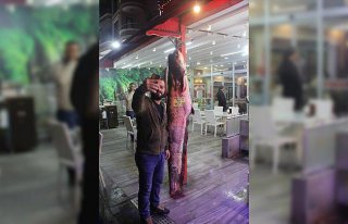 Kızılırmak'ta 103 kilogramlık yayın balığı...