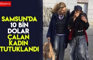 Samsun'da 10 bin dolar çalan kadın tutuklandı