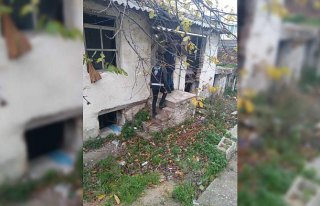 Sinop'ta asayiş denetimi