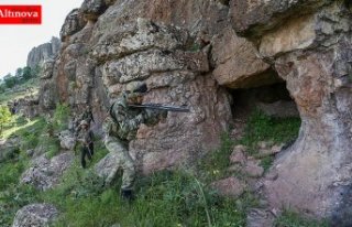 Son bir ayda terör örgütü PKK'ya ait 194...