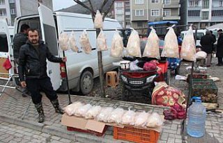 Tirit sezonu başladı, kazlara talep arttı