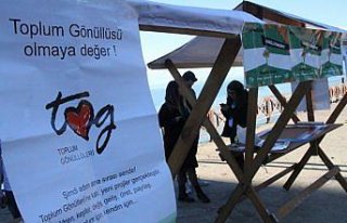 Toplum gönüllüsü öğrenciler çalışmalarını...