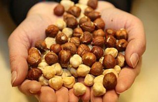 Türkiye 3 ayda 90 bin ton fındık ihraç etti