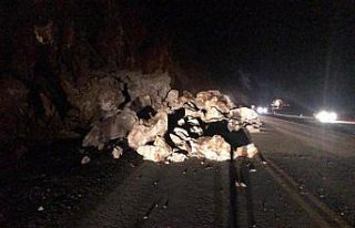 Zigana Dağı'nda heyelan