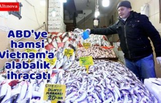 ABD'ye hamsi Vietnam'a alabalık ihracatı