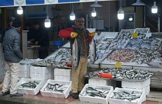 Ağlara takılan torikler balıkçının yüzünü...