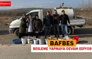 BAFBES BESLEME YAPMAYA DEVAM EDİYOR