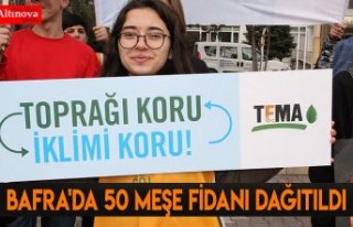 Bafra'da 50 meşe fidanı dağıtıldı