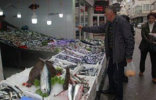 Balıkçıların yüzü 