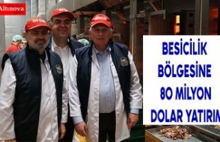 BESİCİLİK BÖLGESİNE 80 MİLYON DOLAR YATIRIM