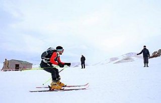 Dağ Kayağı Türkiye Şampiyonası