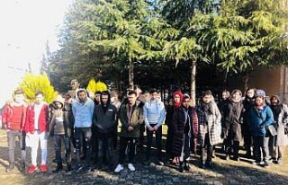 Karabük'te 31 düzensiz göçmen yakalandı