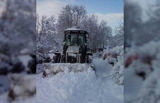 Kavak'ta karla mücadele