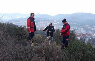 Kayalıklarda mahsur kalan köpek kurtarıldı