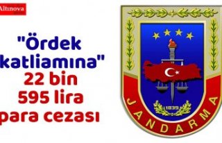 Kuş cennetindeki "ördek katliamı"