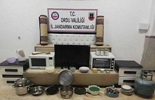 Ordu'da bağ evi hırsızları yakalandı