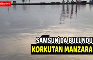 Samsun'da deniz kenarında erkek cesedi bulundu
