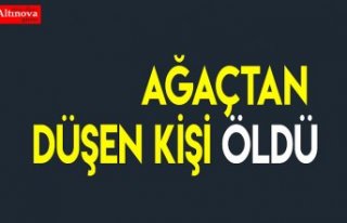 Ağaçtan düşen kişi öldü