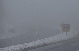 Batı Karadeniz'de sis