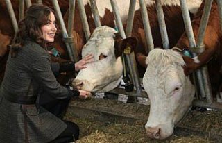 Devlet desteğiyle tesis kurdu günlük 5 ton süt...