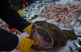 Karadeniz'de balıkçıların ağına fener balığı...
