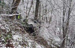 Ordu'da hafif ticari araç uçuruma devrildi: 3 ölü