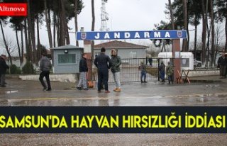 Samsun'da hayvan hırsızlığı iddiası