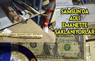 Samsun`da adli emanette saklanıyorlar!