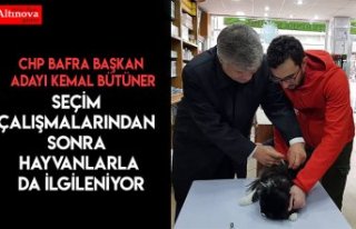 Seçim çalışmalarından sonra hayvanlarla da ilgileniyor